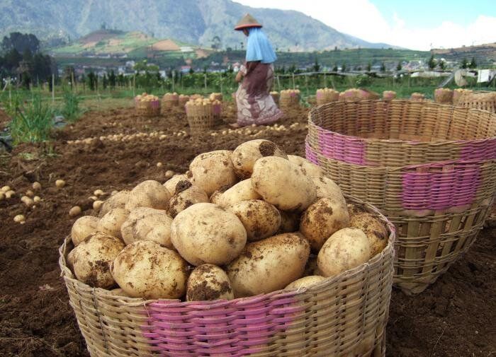 ������ ��������� ������ ���������: ������ ��� ���������� �������� ������