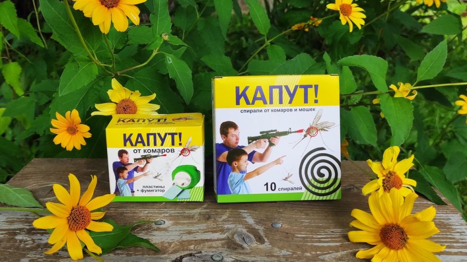 ����������� �������� �� �������: ��� ������� ��� ������ �� �������?