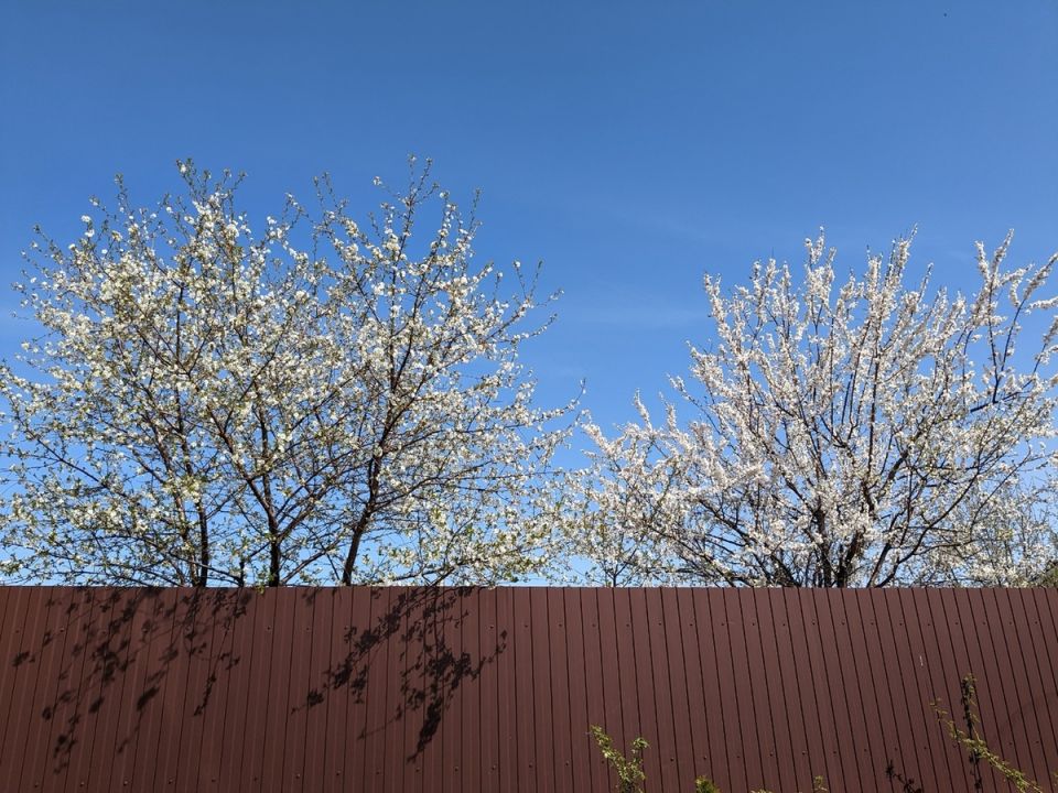 ��� ������ ����� �� ��������������: ����������� ��� ��������������� �������� ������������