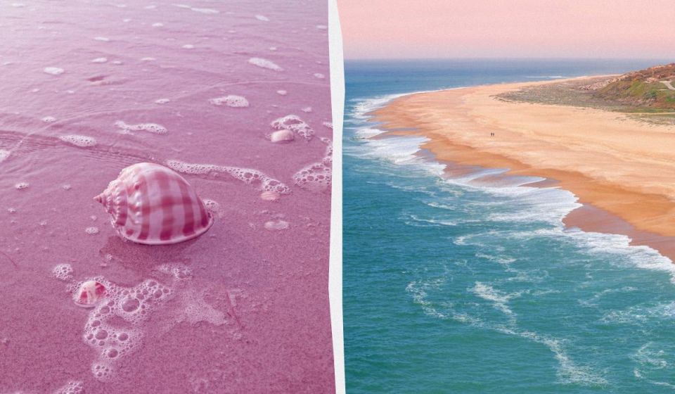 ����� ����������� �����: ������ ��������� ����� ����� ���������� ���������