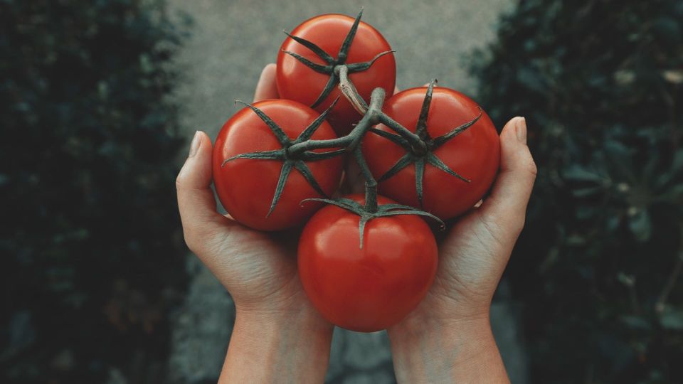 �� ������ ������������� �� ��������: ������ ����� �������� ����� ������� � ��������