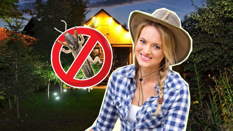 ����� �������: �������� ���������� ����������� ������ ������ � ���������