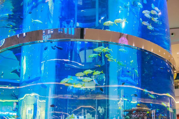 ��� ������� ������ � ���������, ����� �� ��������� ������: ��������� ����� ���������