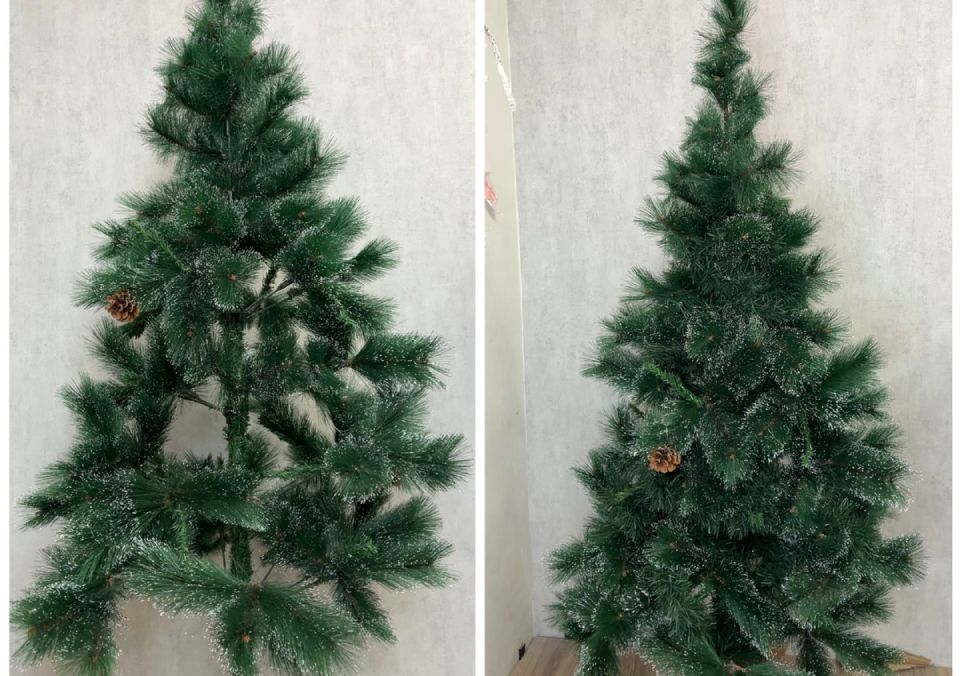 ��� ���������� ������� ���� � ��������� ���������� ���������