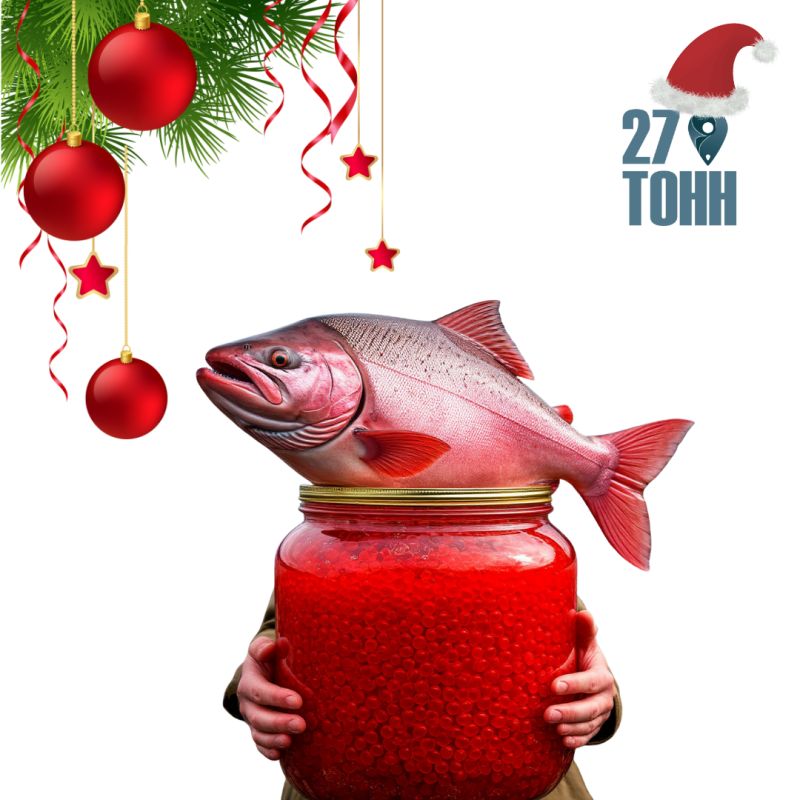 ������ �����: ������ ���� � ������������ ���������� ������������