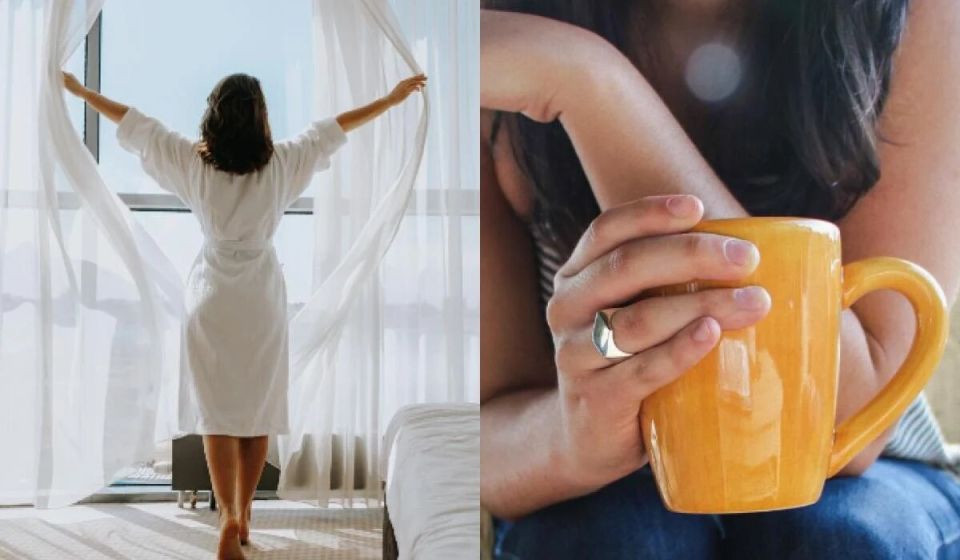 ������ �������� ���� ����� ��������� ������ ��������