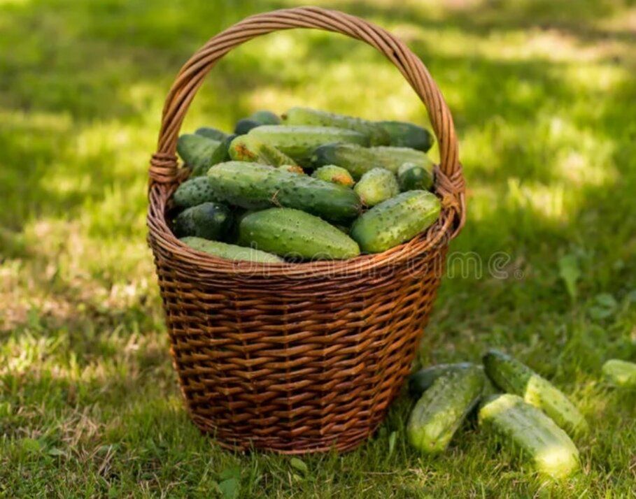 ������ ����� ������� ��� ��������� ������: �� ������ �� �������������