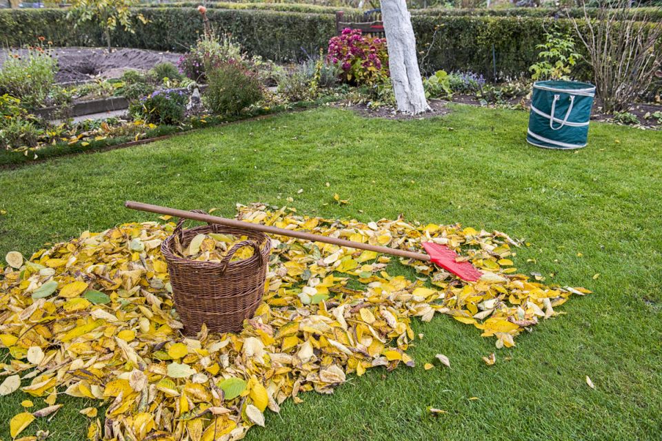 �������� ������: ������ ����� ������� ������������ �������