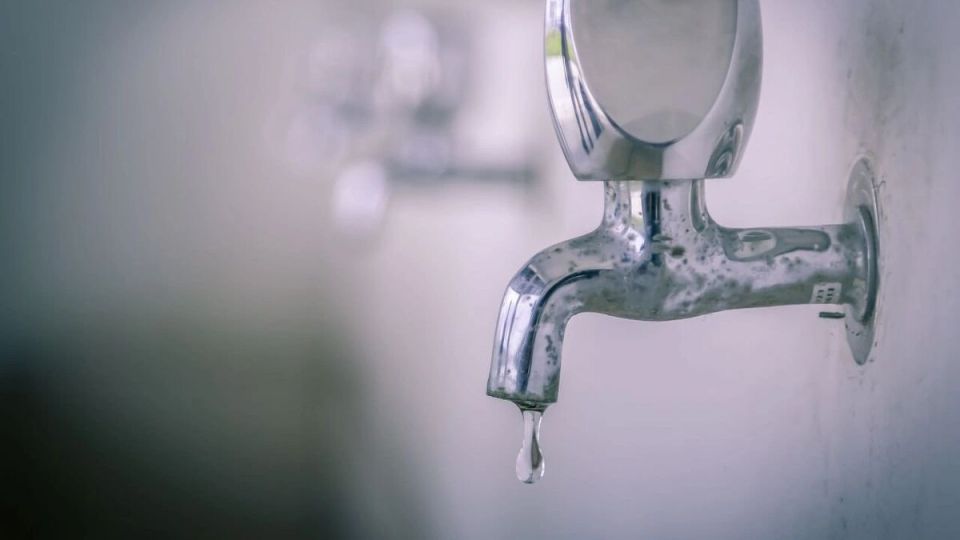 ��� ���� �� ������ ������ �� ��� � �������� � ��� � ��� ���� �����