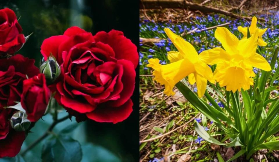 ������ � �����: ��� ��������� ������� ��� �� ���� ��������