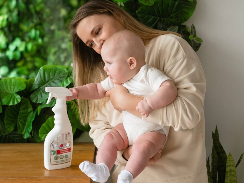 ��� �������� � ������� �����: ��������� ������������ ����� � ���������� ������ �� ������������ �������