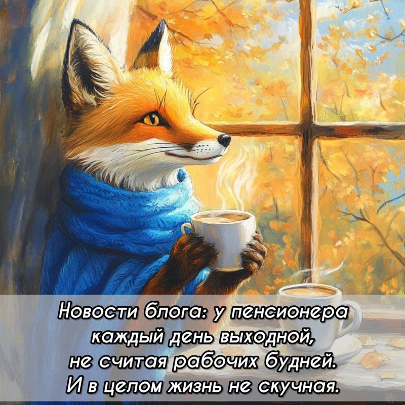 ����� �� ������: ������� ������ ������������ ����� � �������� equipo