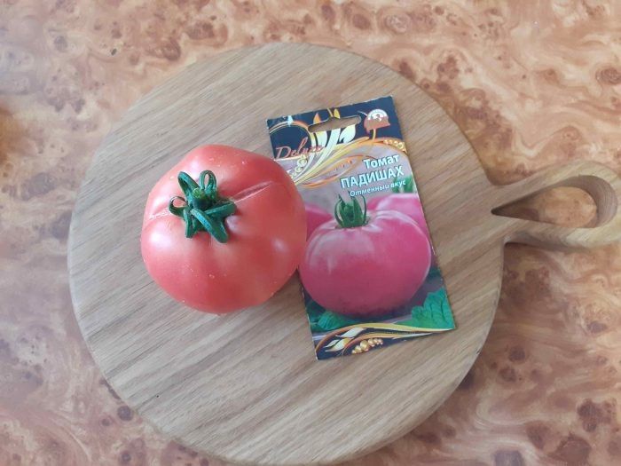 ����� �������: ��������� ���������� ����� ���� � ����������� � �����