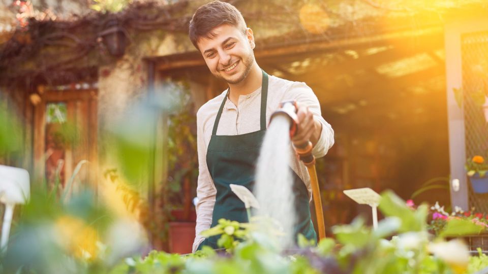 �� ���� ���� ������ ������ ������� ���������: ��������� ���� � ����