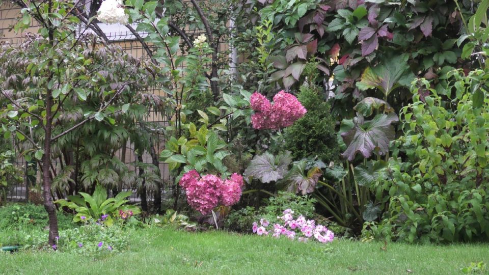 ��������� ��� ������: ��� �������� ��� � ��������