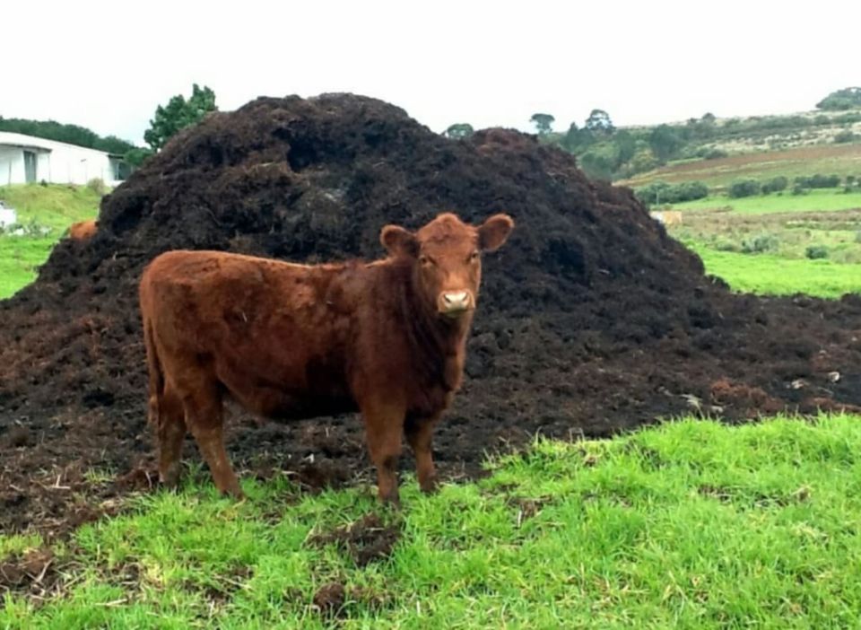 ����� ����� ���������: ������� �����, � ������� �� ������� ��������