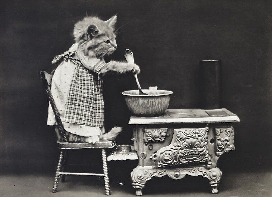 ����� ����� ���������� �� ������ � ������� ����� �������� �� ������� ���� � ����� �������� ������