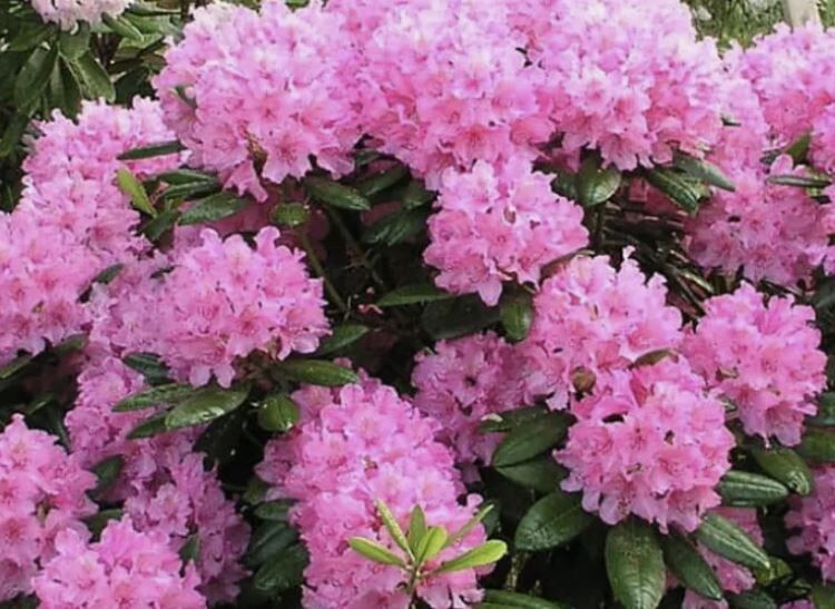 ������������ � ������: ��������� ��������� �������� ��� ����