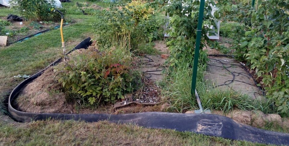 Сорняки не пройдут: резиновая лента?бордюр, которая служит 20 лет