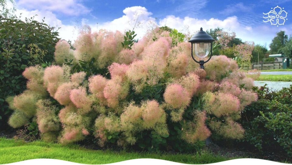 ����� ������: ���-�������� ��� ������ ����