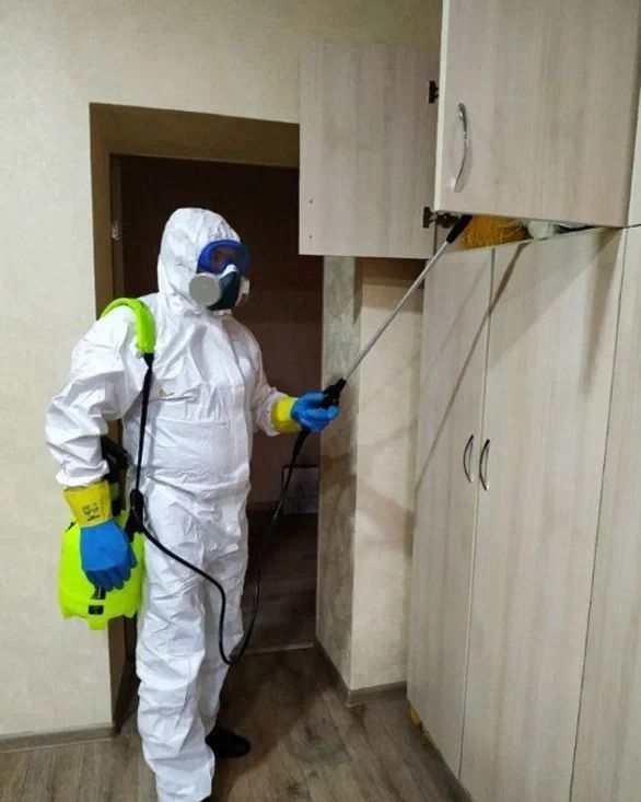 Эффективные способы борьбы с неприятными запахами: советы от профессионалов