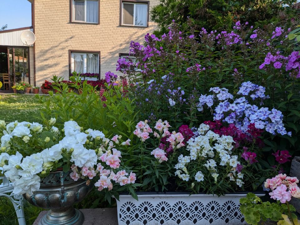 ������� ��� ������: ������ ���� ��� ������� � ����