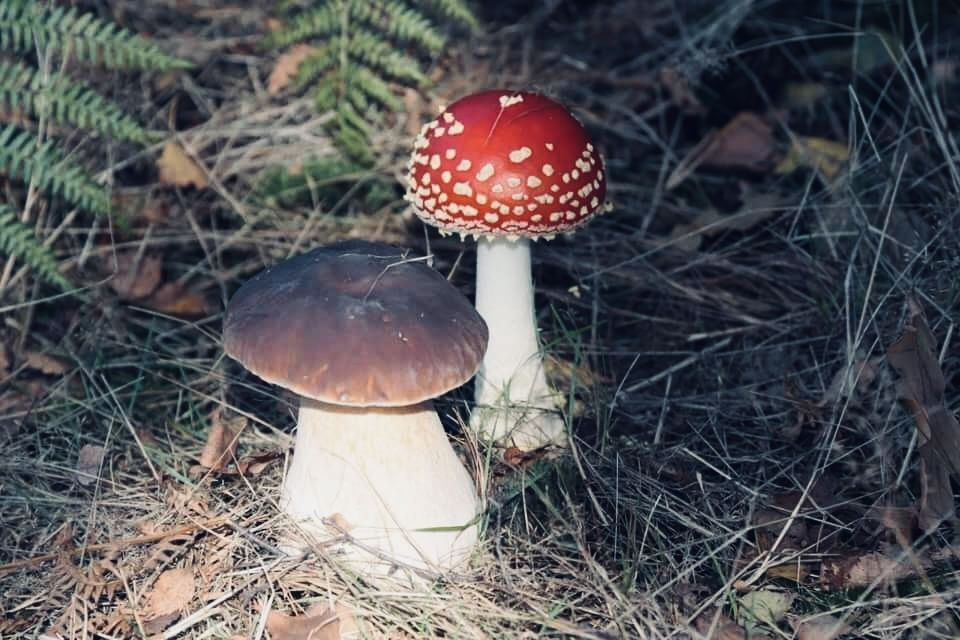 ��� ��� ����������: ����� �� ��������� ����� ����� ��������� ����� � ���������?