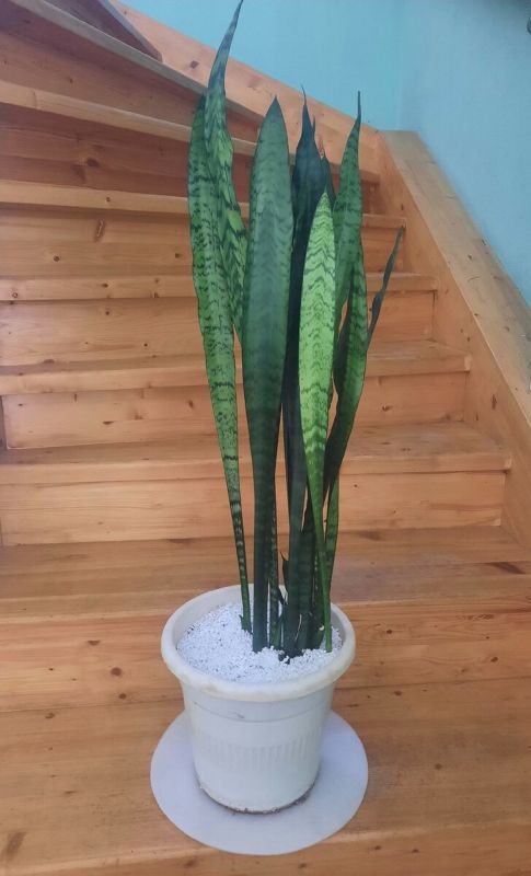 �����������: ��������� �������� ��� �������� ������� ������� � ����� ����