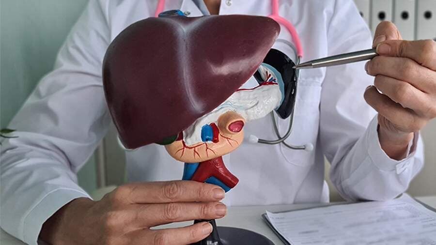 Ученые представили инновационную модель печени для индивидуального лечения